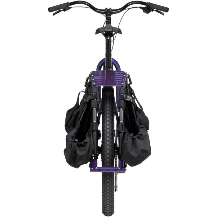 Big Dummy - Image 5